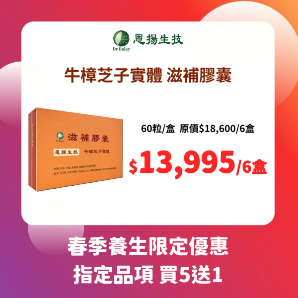 【新包裝】牛樟芝子實體滋補膠囊（60粒/盒） 牛樟芝,子實體,滋補,牛樟芝功效,調整體質,牛樟芝三萜類,牛樟芝價格,牛樟芝子實體滋補膠囊