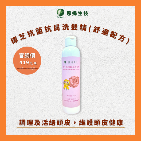 樟芝抗菌抗屑洗髮精（舒適配方，250ml/瓶） 牛樟芝,洗髮精,頭皮屑 洗髮精,洗髮精推薦,洗髮精品牌,頭皮癢,頭皮屑