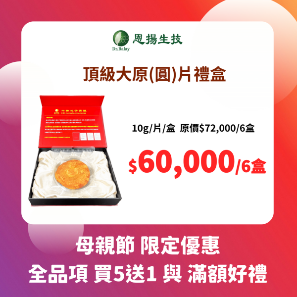 頂級大圓片禮盒（10g/片.盒） 專利KBA,大菇片,禮盒,牛樟芝,子實體,養生雞湯,養生酒,養生茶,直徑13cm,送禮兩相宜,90天安全試驗,TFDA備查函