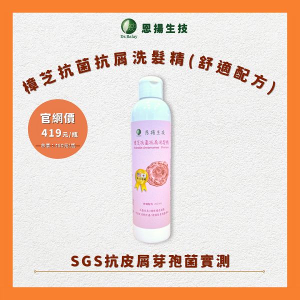 【任選】牛樟芝抗菌抗屑洗髮精(涼感/舒適配方，250ml/瓶) 