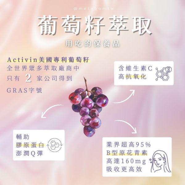 MetaBom 梓光白C膠囊（透亮管理） 