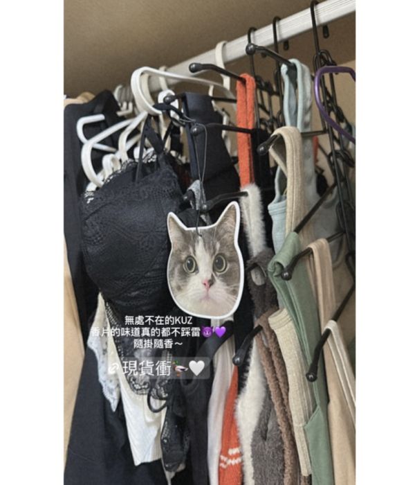 買五送一♡自訂店貓Kuz香薰掛片 