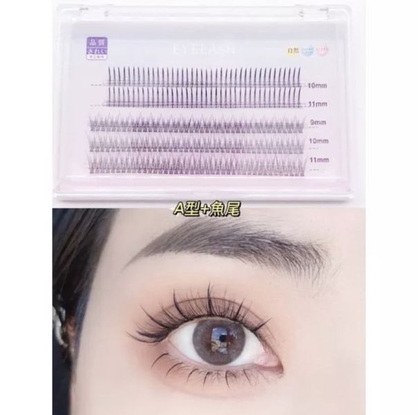 仙子的太陽花♡多款單簇假睫毛 