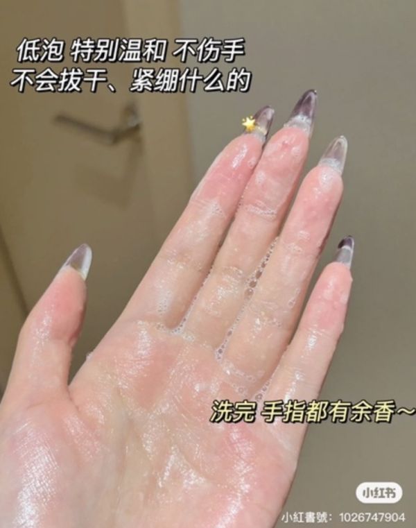 綻家內衣褲洗衣液 