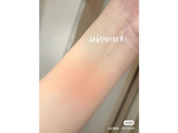 現貨買一送一氛圍感腮紅 艾諾琪 羊毛點彩刷 
