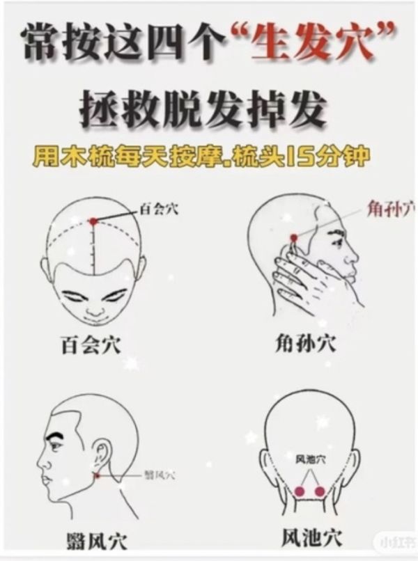 髮量王趙露思同款-綠檀木頭皮按摩梳 