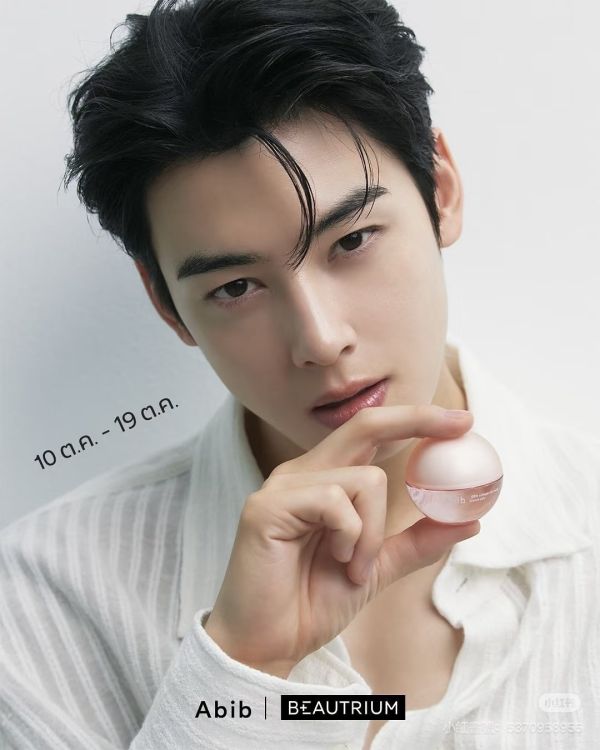 車銀優同款-Abib PDRN唇膜 