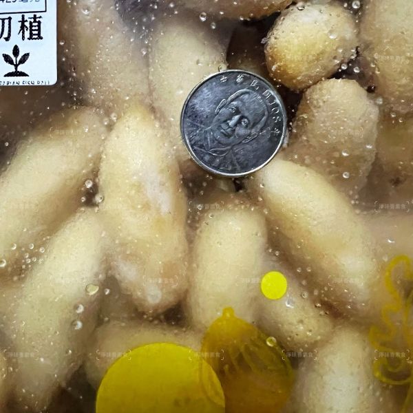 御素家 漢品  初植 旗魚燒 大包裝 3000g(全素) 純素好安心，健康又美味！素食旗魚燒『低溫配送』 御素家, 旗魚燒, 純素, 健康素食, 低溫配送, 素食產品, 煎炸菜餚, 大包裝, 植物蛋白, 無過敏原