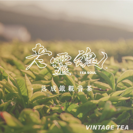 【老靈魂】台灣鐵觀音熟成茶 藏茶 散裝茶葉 50g 老茶,茶包,烏龍茶,獨立包裝,老烏龍茶,新鳳鳴,老靈魂,祁門,紅茶,農產溯源,ESG,環保包裝,果香,沒食子酸,fonmingtea,oldtea,oolongtea,aged,taiwan,tea,台灣,鐵觀音茶