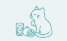 百香果綠茶
