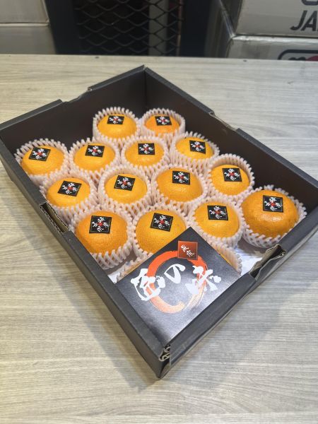 [甘甜細緻香氣極佳][禮盒式]日本長崎津之輝蜜柑 津之輝 つのかがやき 西海蜜柑,日本蜜柑,日本小橘子,無核橘,長崎蜜柑,津之輝蜜柑