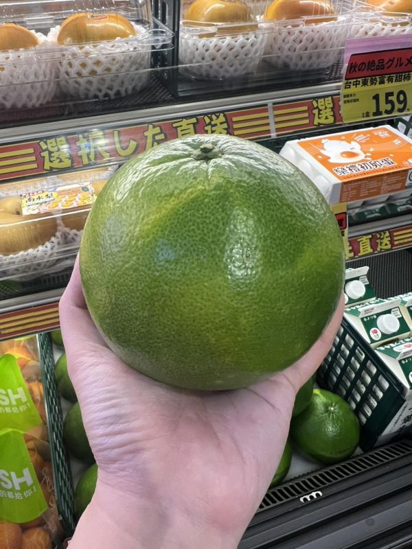 [果肉細緻飽滿]雲林斗六甜心柚 