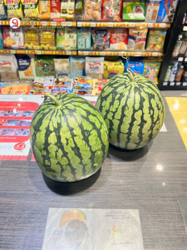 [經典黃肉甘甜多汁]台南小玉西瓜 小玉西瓜,黃肉西瓜,台灣西瓜
