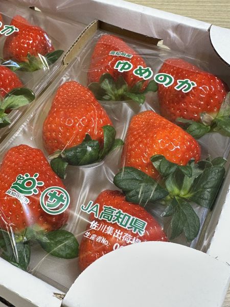 [甘甜香氣十足]日本高知夢乃香草莓 日本高知夢乃香草莓