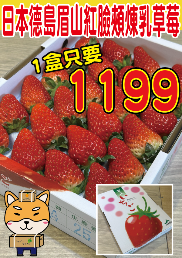[馨香甘甜]日本德島眉山紅臉頰煉乳草莓 [馨香甘甜]日本德島眉山紅臉頰煉乳草莓
