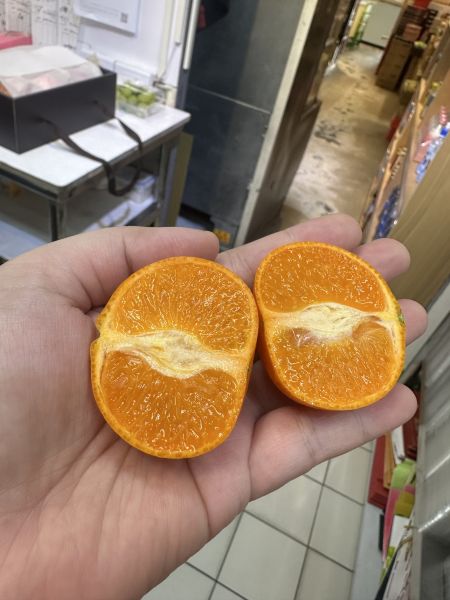 [易剝甜酸清爽][10kg原裝箱]南非砂糖橘 Mini Mandarin 砂糖橘,南非砂糖橘,Mini Mandarin