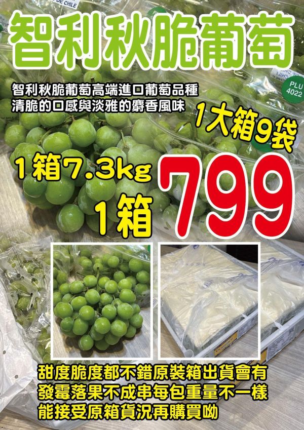 [清爽甘甜香氣特別]智利秋脆綠無籽葡萄 智利秋脆綠無籽葡萄
