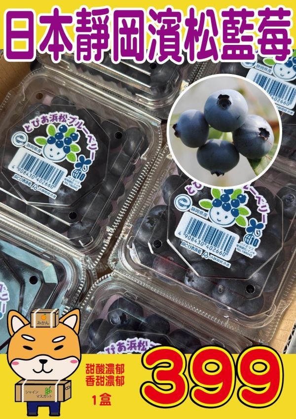 [甘甜飽滿香氣佳]日本靜岡濱松藍莓 とぴあ浜松ブルーベリー 靜岡藍莓 藍莓,日本藍莓,花青素,甜藍莓