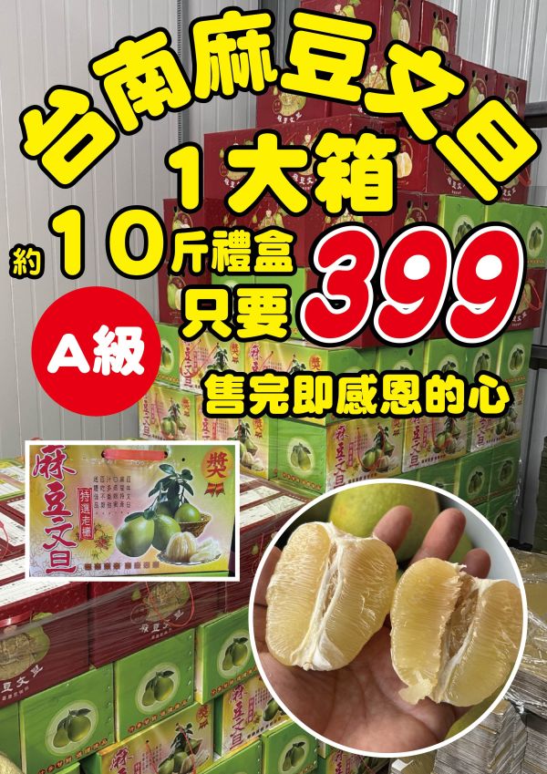 [香氣十足甘甜味濃]台南麻豆老欉文旦A級 柚子 文旦,柚子,老欉