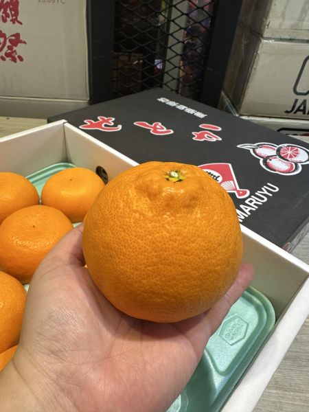 [甘甜香氣十足]日本和歌山蜜柑 日本和歌山蜜柑
