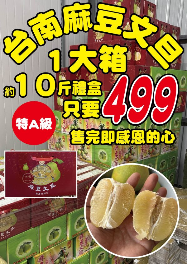 [香氣十足甘甜味濃]台南麻豆老欉文旦特A級 柚子 特A級文旦,柚子,老欉