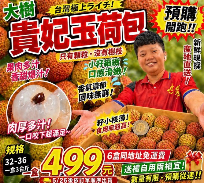 [香甜水潤][禮盒式]大樹貴妃玉荷苞 玉荷包 荔枝 大樹貴妃玉荷苞
