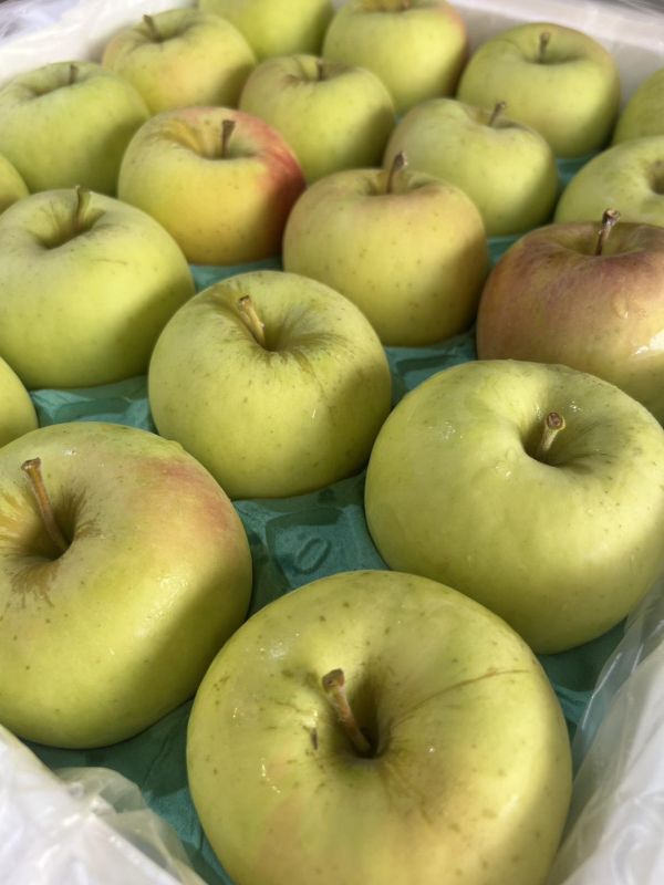 [清爽甘甜好吃]日本青森名月蘋果 日本青森名月蘋果