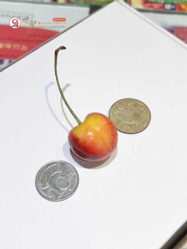 [清爽超人氣][嚐鮮盒]加拿大空運蕾妮爾白櫻桃 雷尼爾 US-WA Rainier Cherries [清爽超人氣][嚐鮮盒]加拿大空運蕾妮爾白櫻桃 雷尼爾 US-WA Rainier Cherries