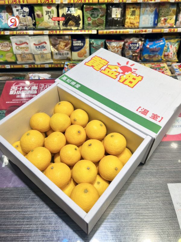 [清甜爽口檸檬香氣][整箱裝]日本高知黃金柑 黄金柑 おうごんかん 鹿兒島黃金柑,貴婦人柑,貴夫人,高知黃金柑