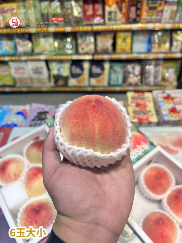 [細緻芳香甘甜]日本山梨溫室水蜜桃 山梨温室桃 もも 日本山梨水蜜桃,もも,モモ,白鳳,川中島,なつっこ,日川,夏子,室外桃