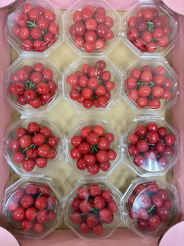 [日本頂級甘甜濃郁]日本山形佐藤錦櫻桃 日本山形佐藤錦櫻桃