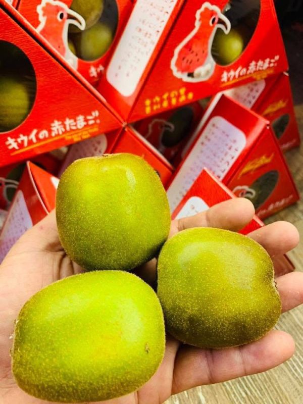 [營養滿滿][整箱]香川奇異鳥三角紅心奇異果 香川奇異鳥三角紅心奇異果