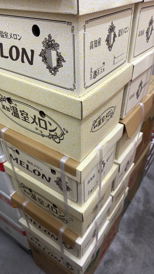 [綿軟香甜風味濃郁]日本高知縣產青肉哈密瓜 日本高知縣產青肉哈密瓜