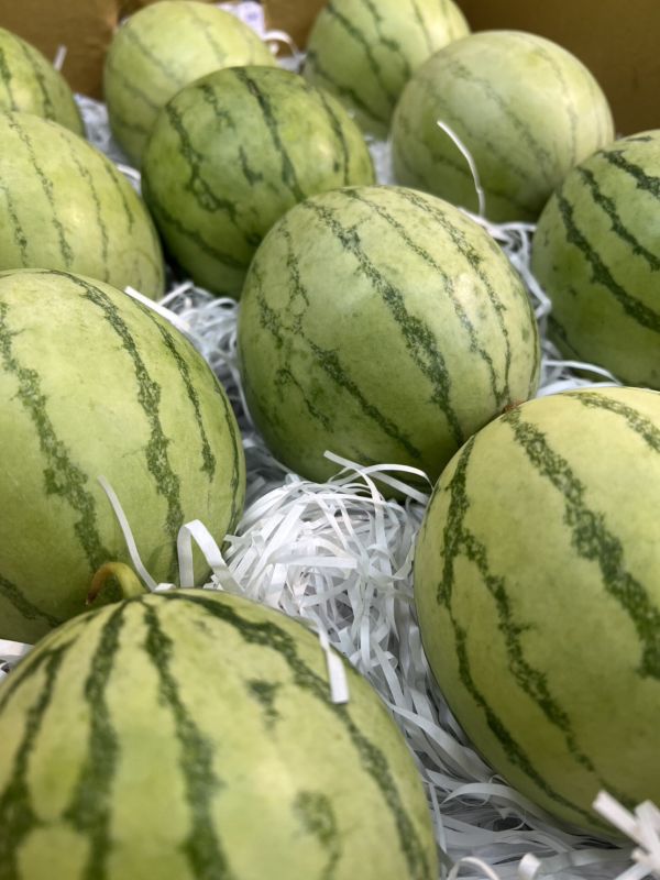 [果肉紅潤皮薄脆甜]台灣MINIBALL小西瓜 台灣MINIBALL小西瓜