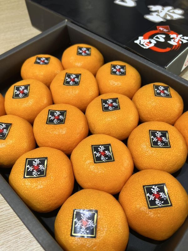 [營養滿滿]長崎匠之味溫室蜜柑 長崎匠之味溫室蜜柑