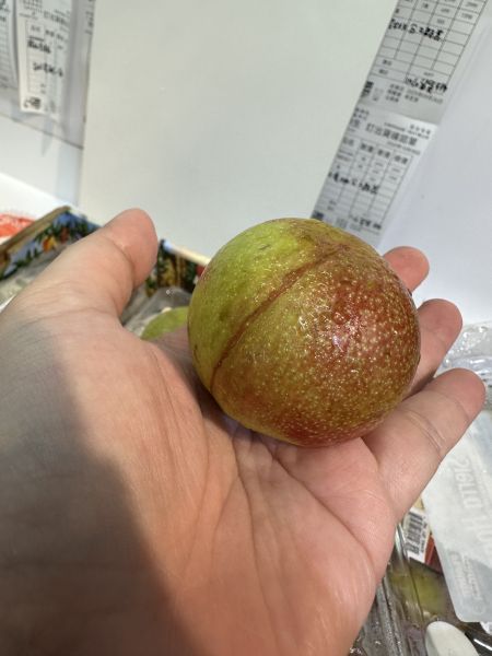 [果肉厚實甘甜多汁]美國加州翡翠玫瑰李 美國加州翡翠玫瑰李