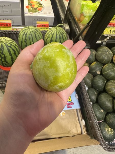 [經典美味]美國加州綠恐龍蛋 蜜李,恐龍蛋,Supernova,Plumcot
