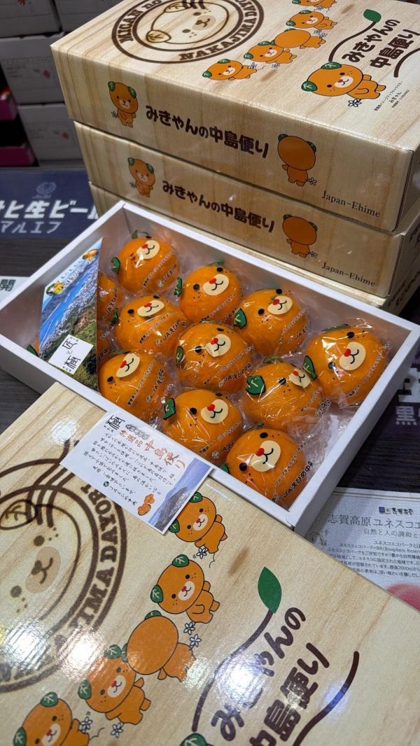 [香甜微酸有籽水潤]日本愛媛狗狗橙柑 日本愛媛狗狗橙柑