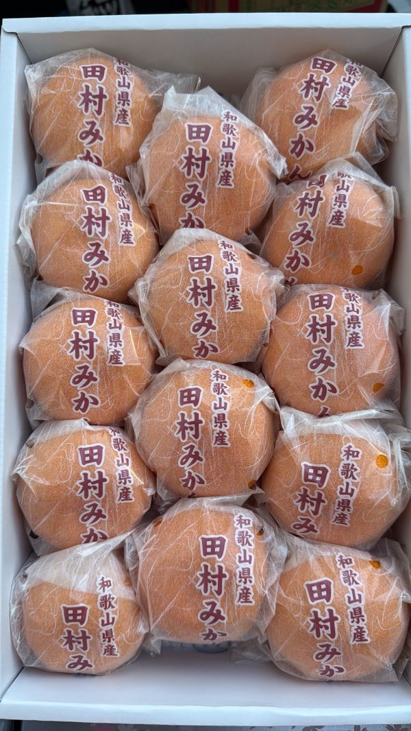 [甘甜多汁香氣十足][禮盒]日本和歌山櫻花銀田村蜜柑禮盒 日本和歌山櫻花銀田村蜜柑禮盒