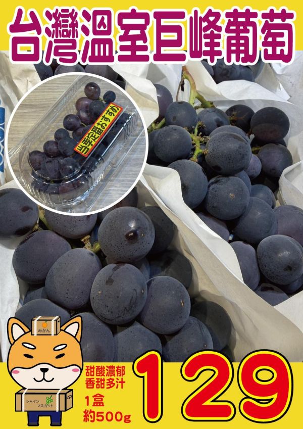 [甘甜可口]台灣溫室巨峰葡萄 台灣溫室巨峰葡萄