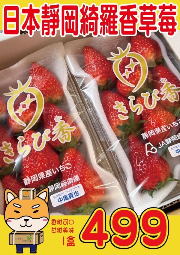 [馨香甘甜]日本靜岡綺羅香草莓 日本靜岡綺羅香草莓