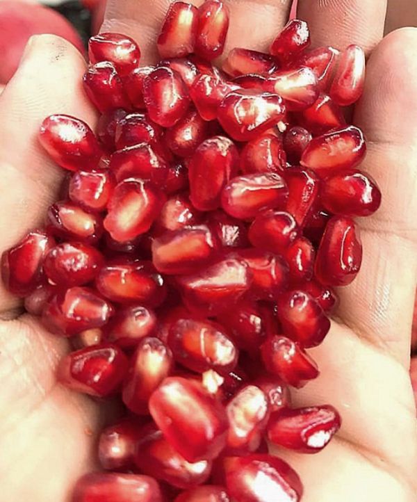 [爽口清甜多汁]美國空運超大紅石榴 Pomegranate 石榴,空運石榴,Pomegranate,紅石榴,抗氧化,補血