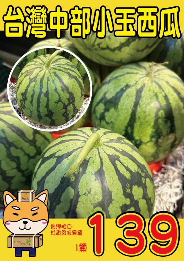[黃肉品種甘甜多汁]小玉西瓜 小玉西瓜