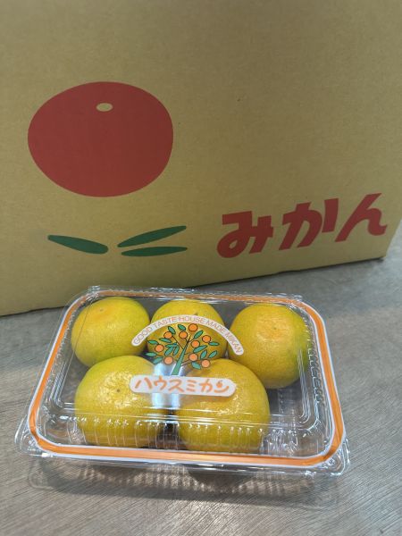 [無籽皮薄香甜多汁]日本和歌山蜜柑嚐鮮盒 日本和歌山蜜柑嚐鮮盒