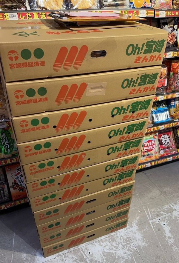 [連皮可食甜酸均衡]日本宮崎極甘完熟金桔 金棗 きんかん 日本橘子,蜜柑,金桔,きんかん,補血,潤肺顧氣管