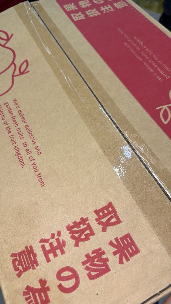 [爽脆甜度高]日本長野新高梨 日本長野新高梨