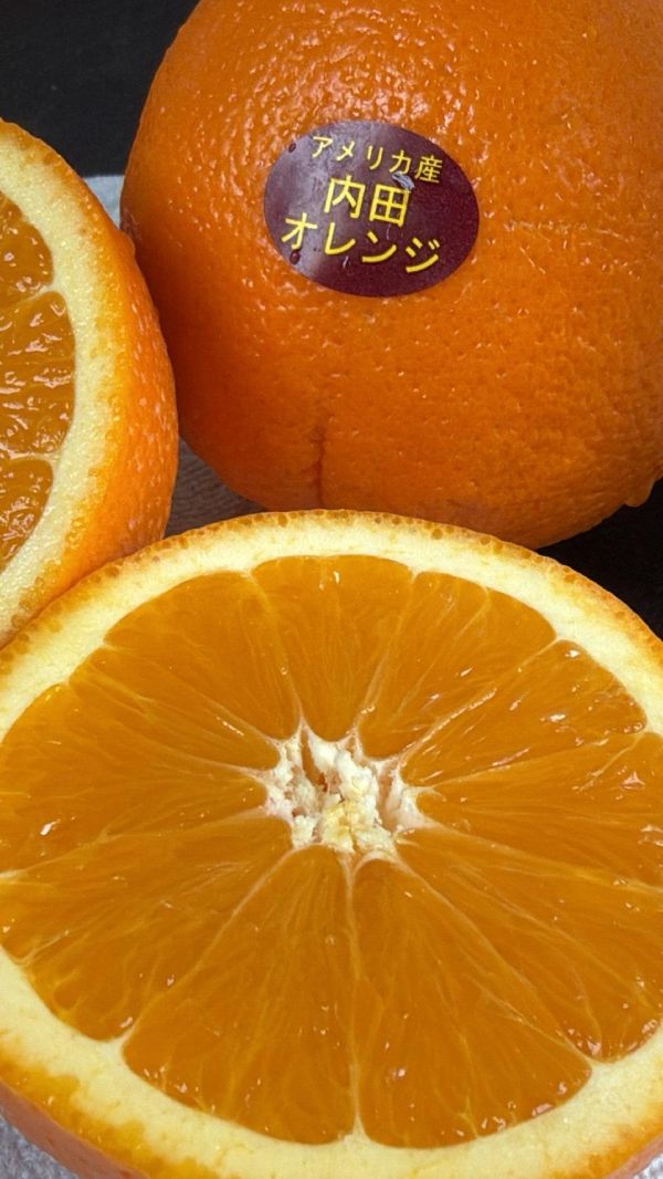 [甘甜可口]美國內田肚臍丁 美國內田肚臍丁