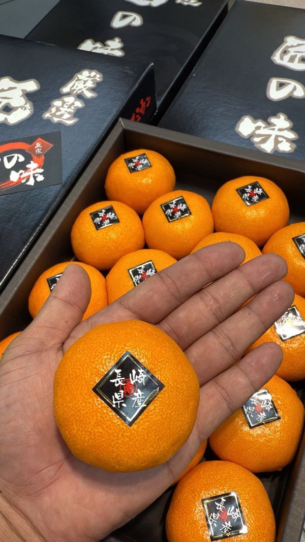 [無籽皮薄香甜多汁][禮盒式]日本長崎丸南匠之味溫室蜜柑 匠の味みかん ハウスみかん 長崎匠蜜柑 和歌山蜜柑,日本小橘子,日本蜜柑,溫室蜜柑,有田,佐賀蜜柑, 福岡蜜柑,北原早生,きたはらわせ,山川蜜柑