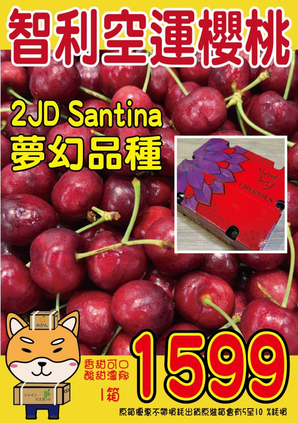 [甜酸濃郁]智利空運櫻桃 智利空運櫻桃