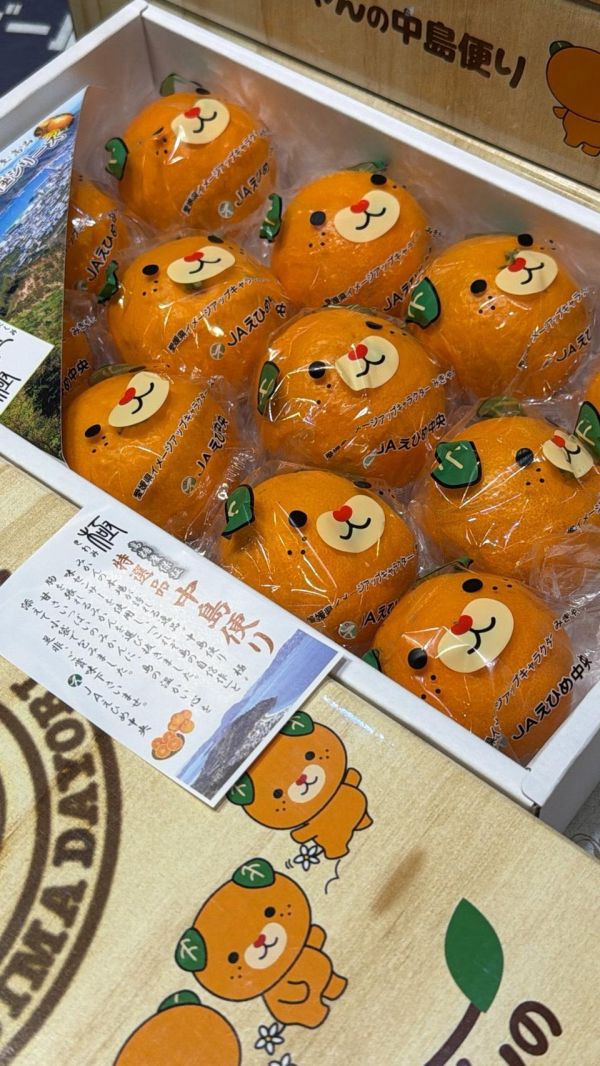 [香甜微酸有籽水潤]日本愛媛狗狗橙柑 日本愛媛狗狗橙柑